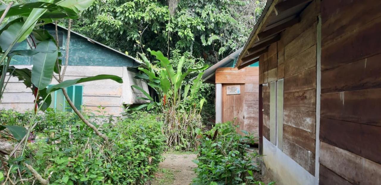 Centro Ecoturistico Ya'Ajche Hotel Lacanjá Exterior photo