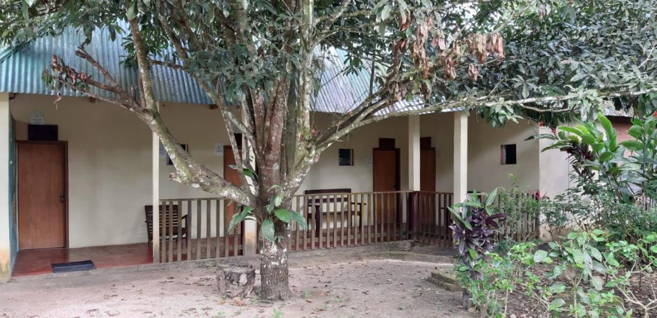Centro Ecoturistico Ya'Ajche Hotel Lacanjá Exterior photo