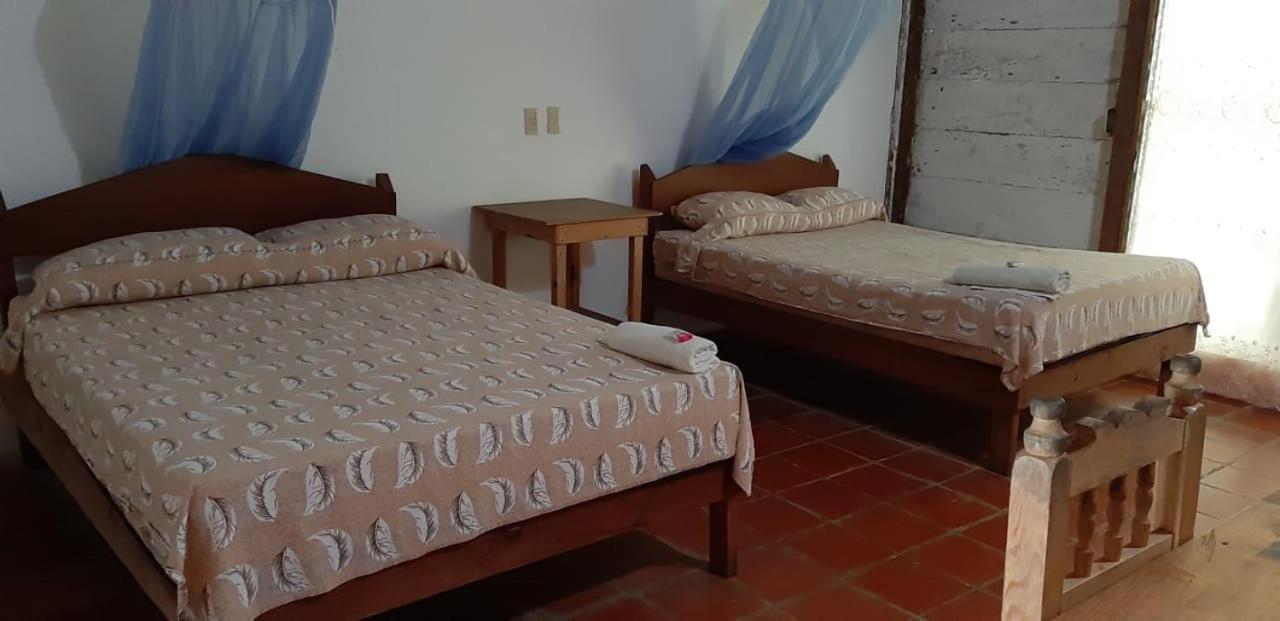 Centro Ecoturistico Ya'Ajche Hotel Lacanjá Exterior photo